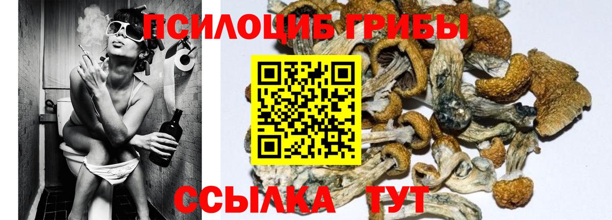 Псилоцибиновые грибы Cubensis  Вход с VPN  Псилоцибиновые грибы ЛСД  Аргун 